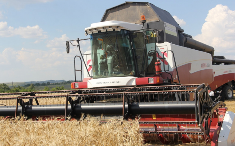    В Оренбуржье урожайность озимых превышает 24,4 центнера с гектара Алла Черкесатова