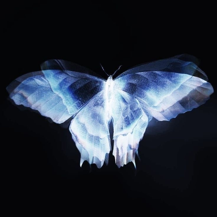 Иллюстрация: н/а