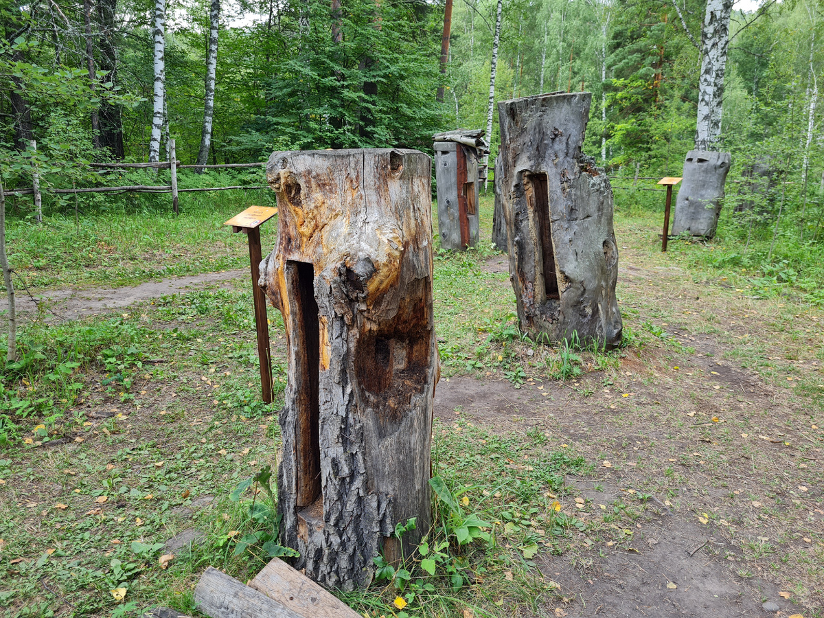 Демонстрационная колодная пасека бурзянской бортевой пчелы в заповеднике Шульган-Таш