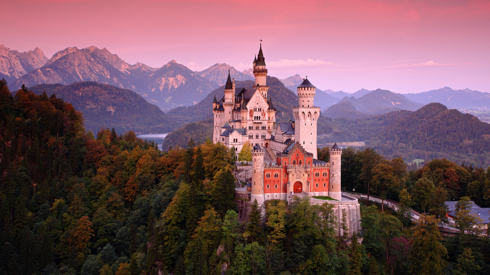     Фото: Ondrej Prosicky/Shutterstock/FOTODOM