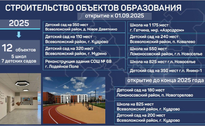    © Telegram / Александр ДроZденко