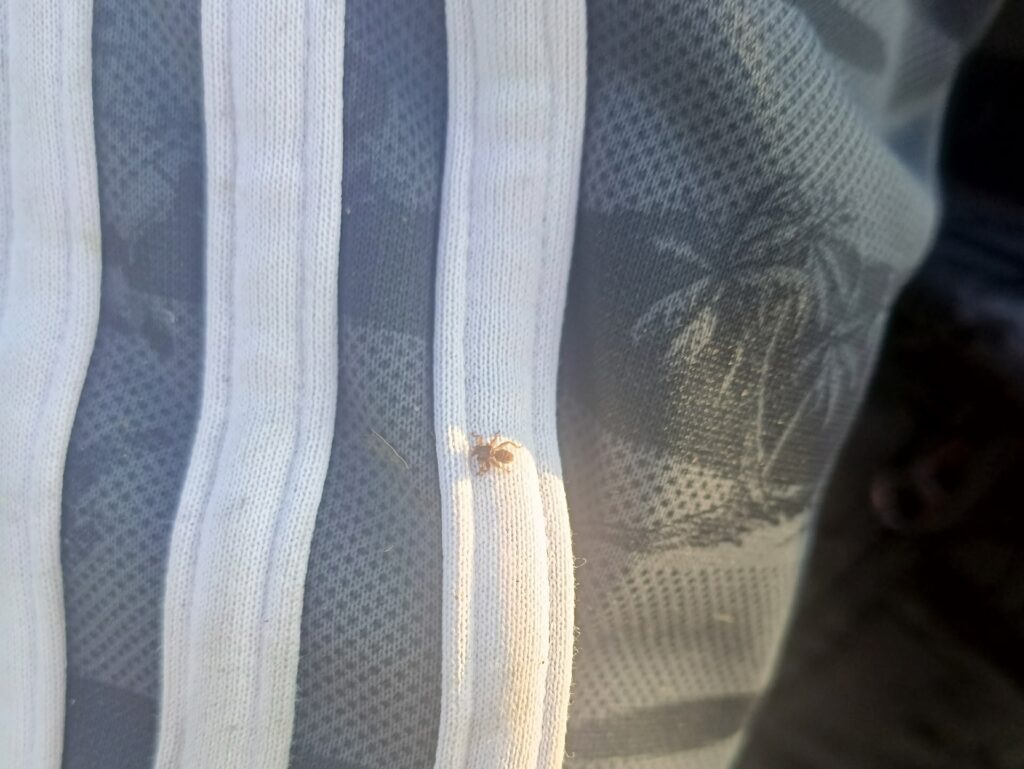    Фото: Ольга Яковлева Полина Анкушина