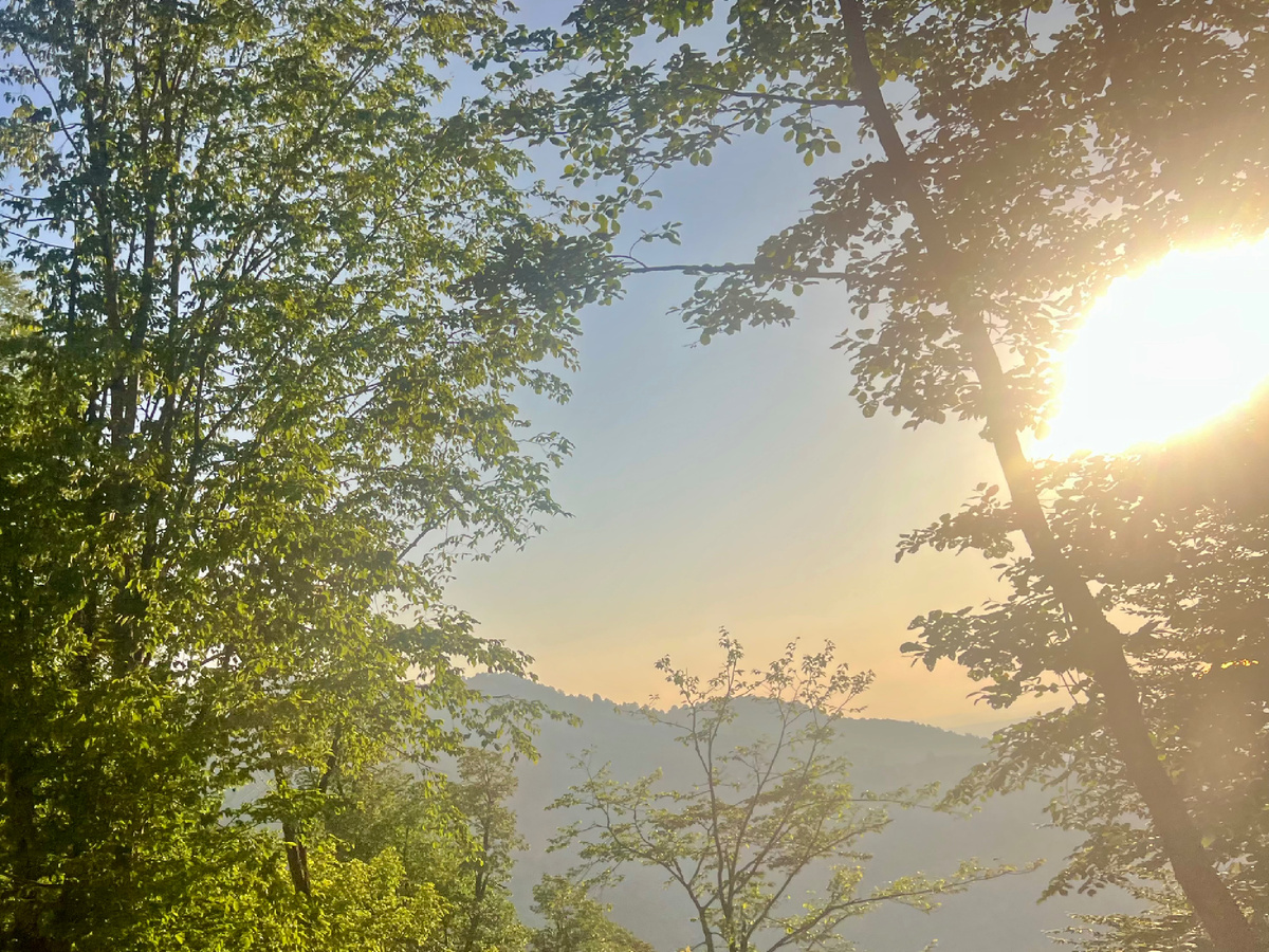 Солнце то слепило, то оказывалось сзади, то заглядывало в окошко слева-справа. 