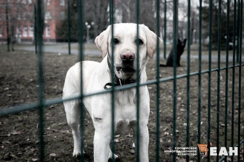    ЕАН / Архивное фото