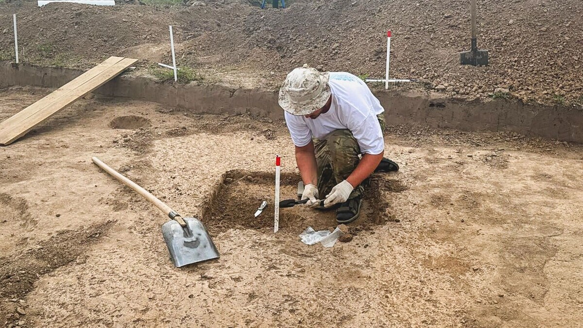     Источник: 1MI