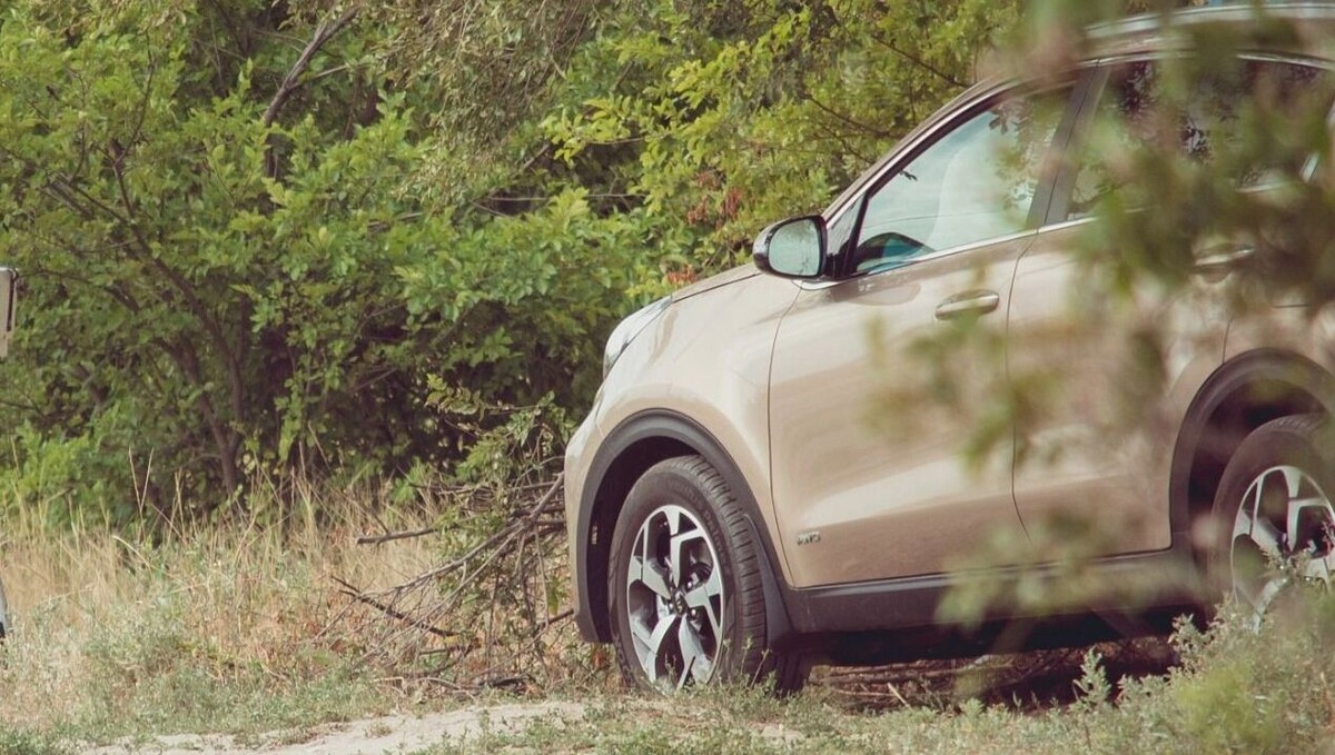     Источник: novostivolgograda.ru