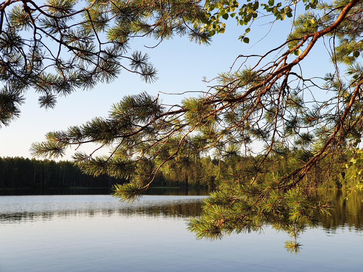 Оригинал фото