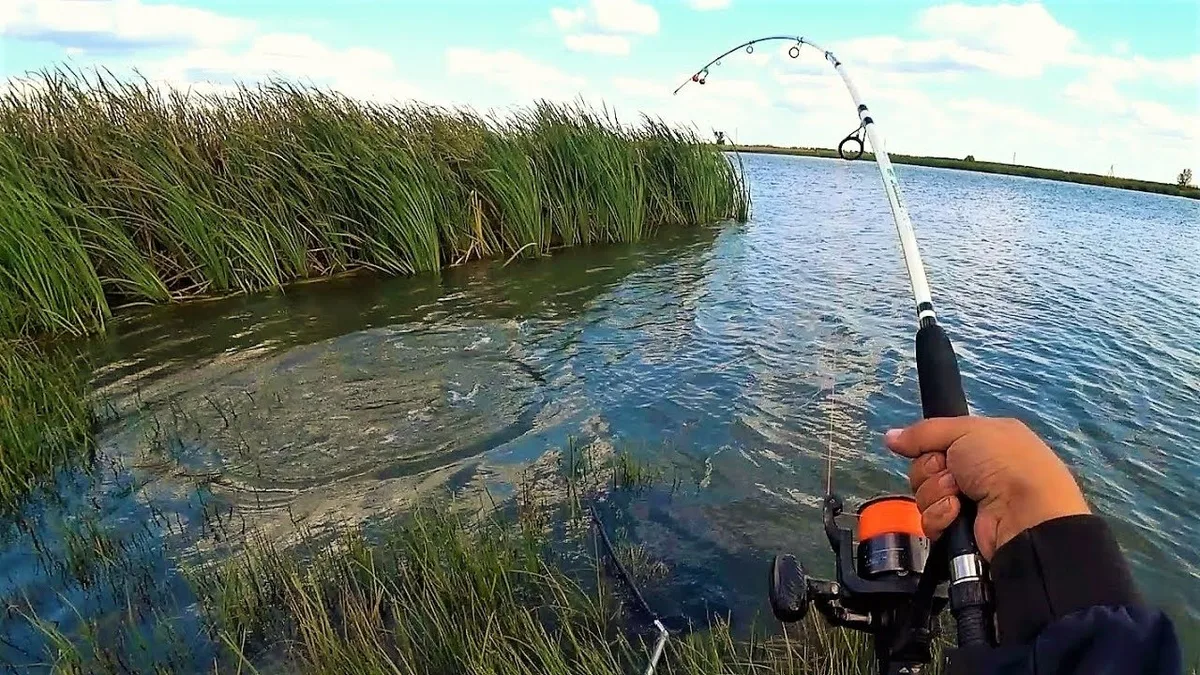 Фото с сайта: https://avatars.dzeninfra.ru