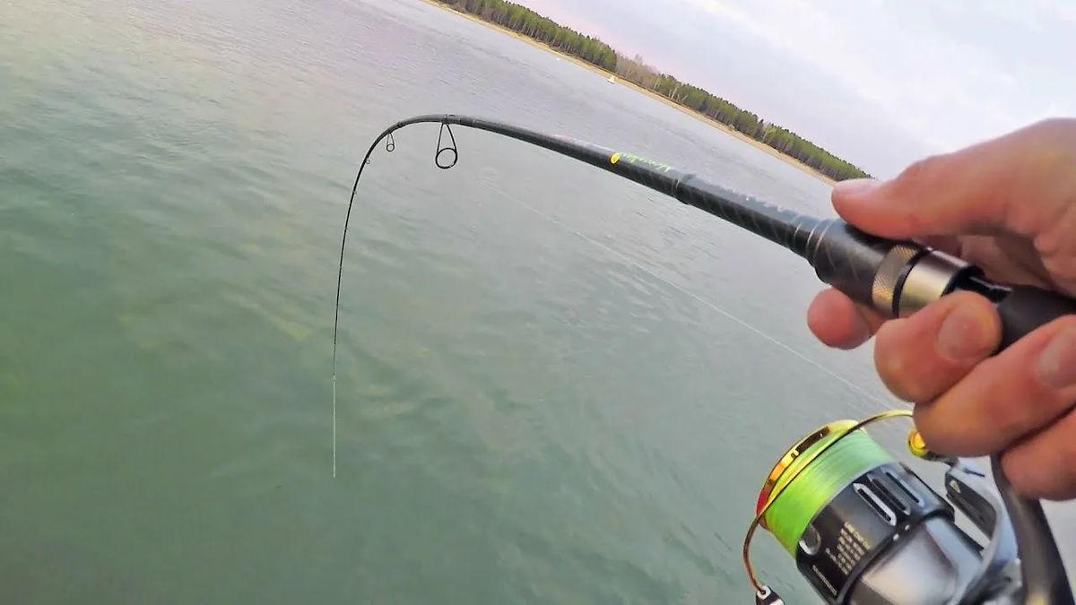 Фото с сайта: https://i.ytimg.com/vi/1_eeI_Vtxzc/maxresdefault.jpg