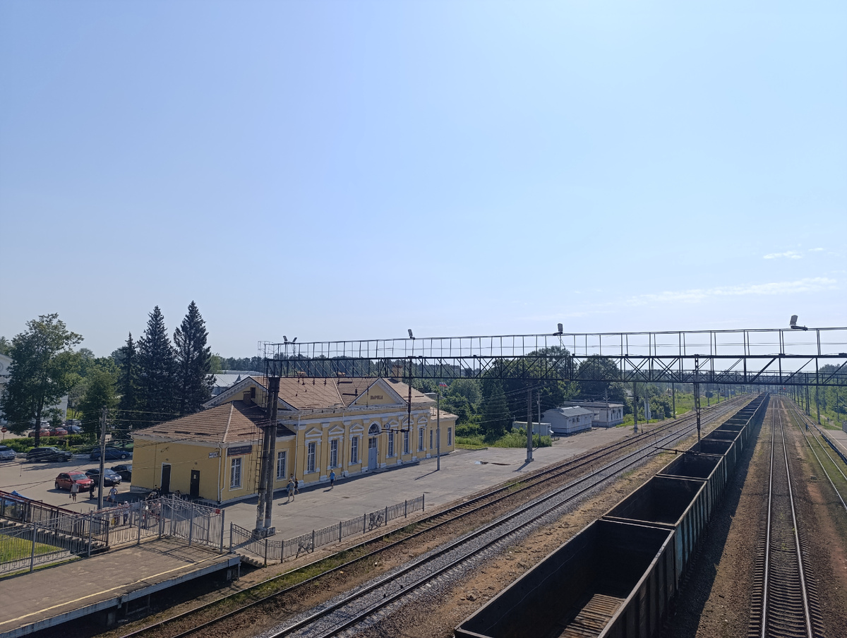 Любимая Вырица 