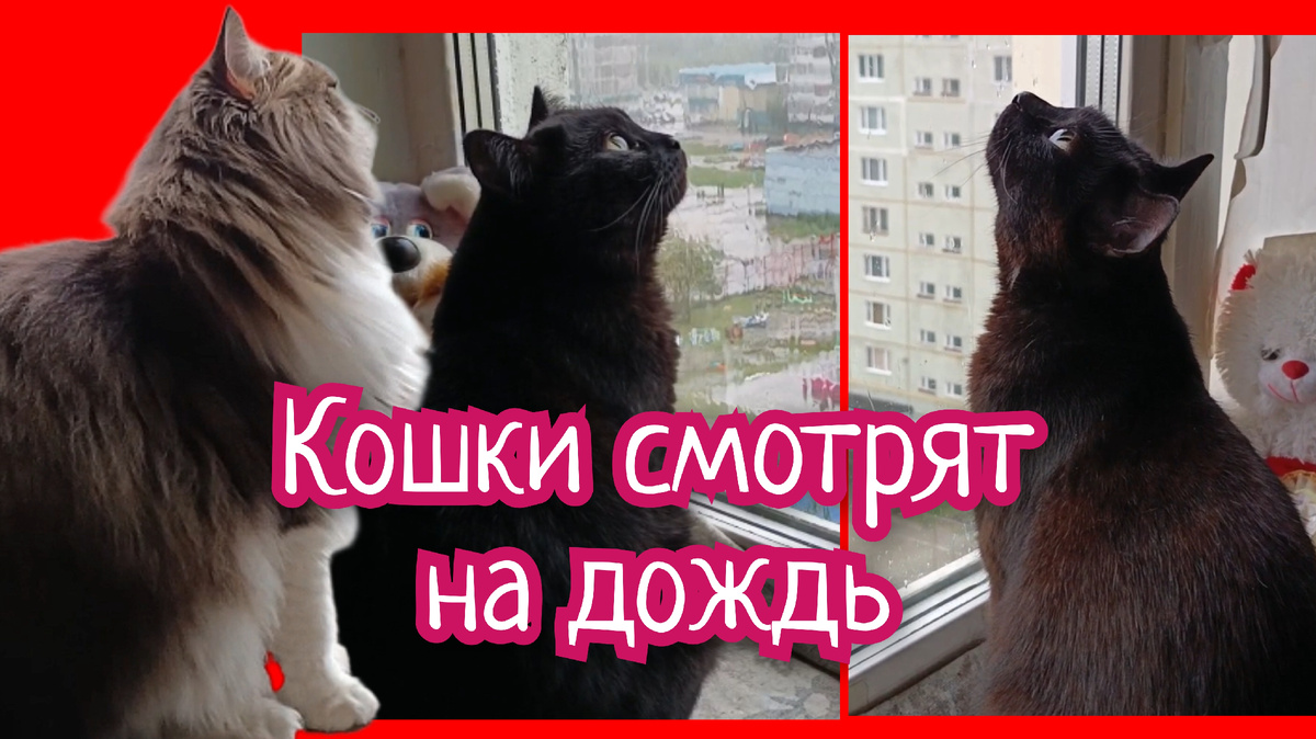 Обложка нового видео.