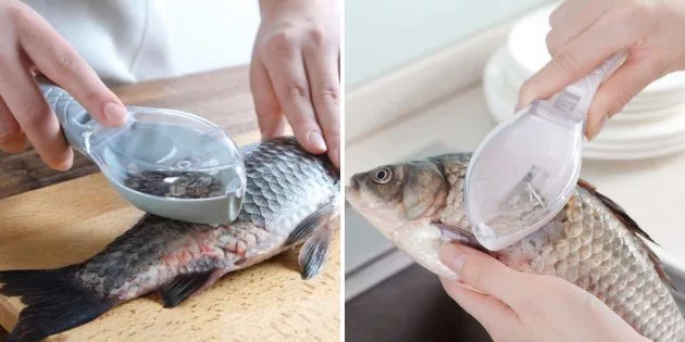 Фото с сайта: https://cdn.lifehacker.ru