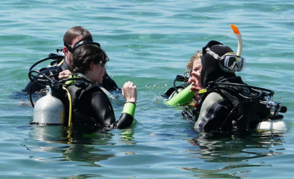    фото: открытые источники Редактор