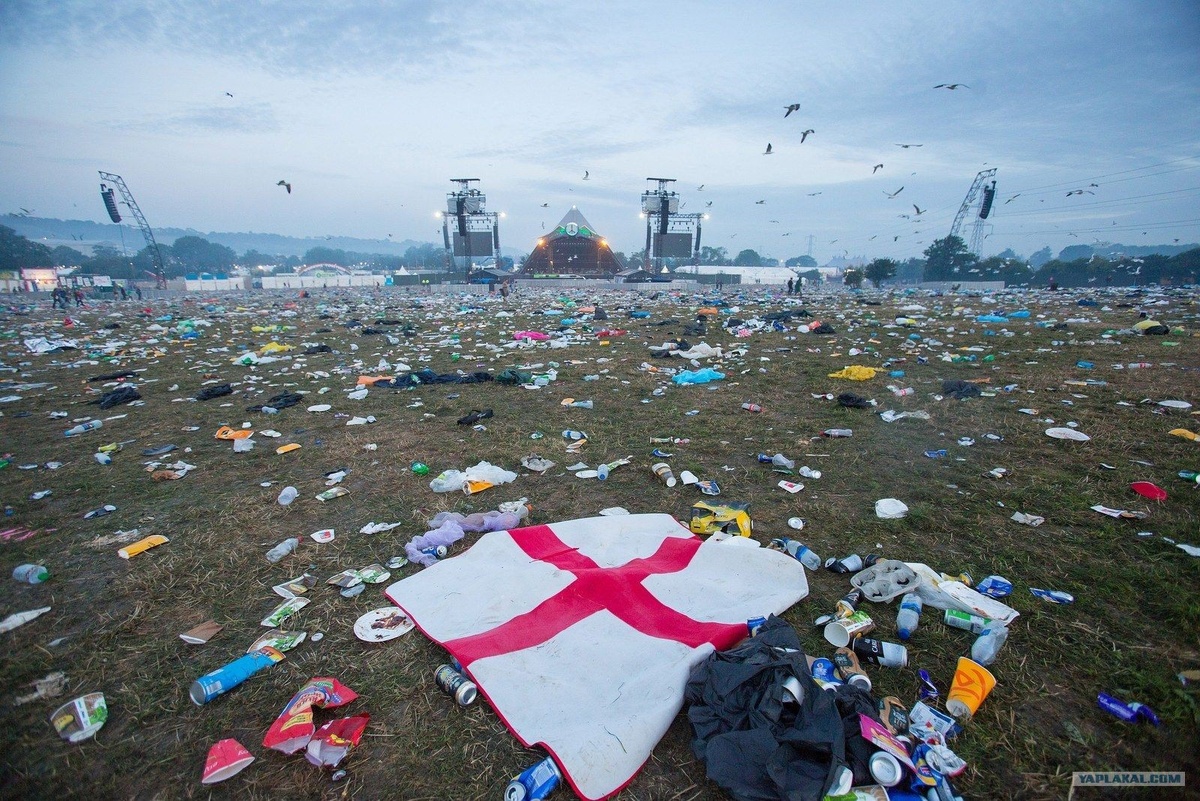 После праздника поле принадлежит.... 