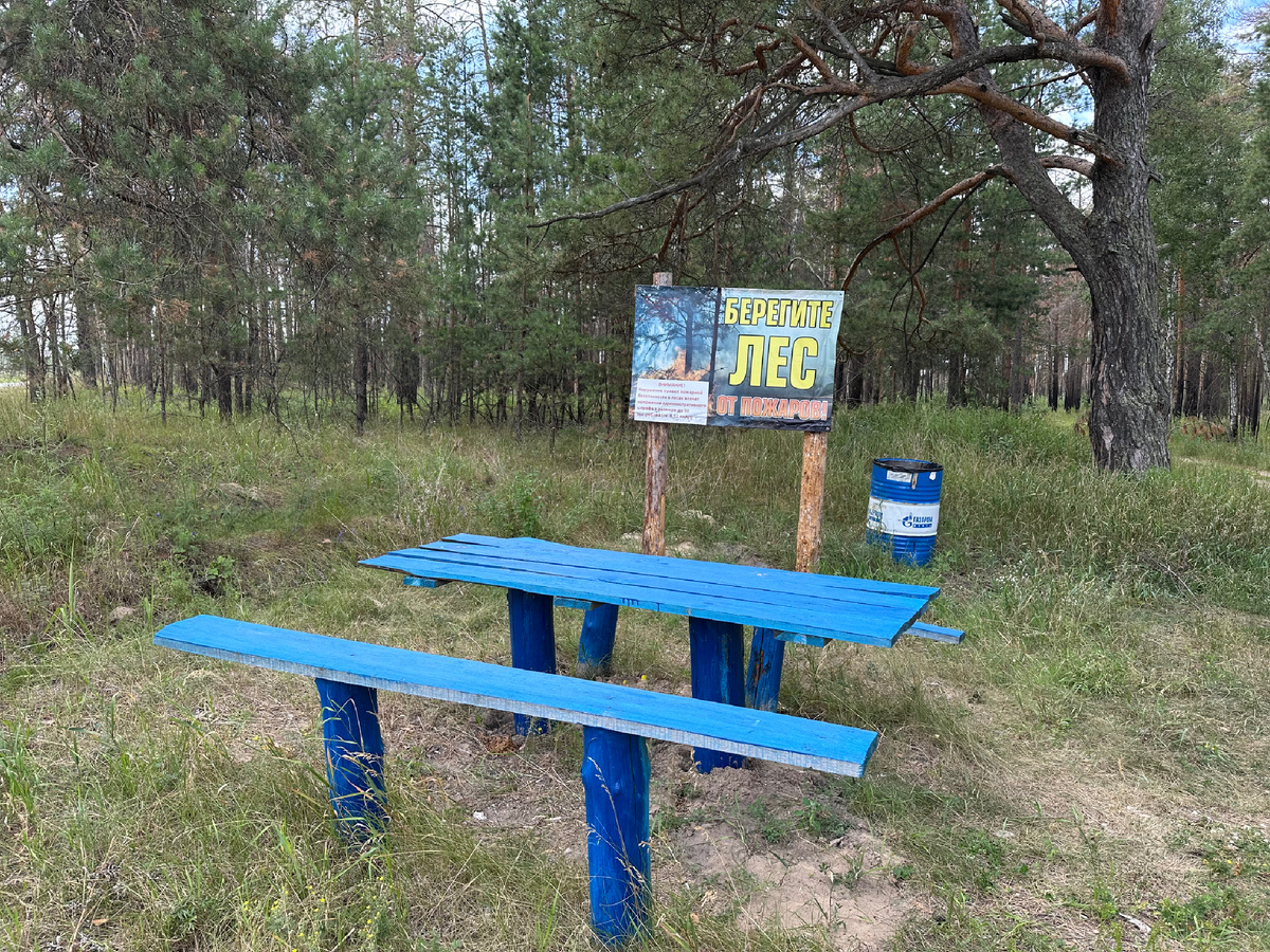 Отдых около леса.