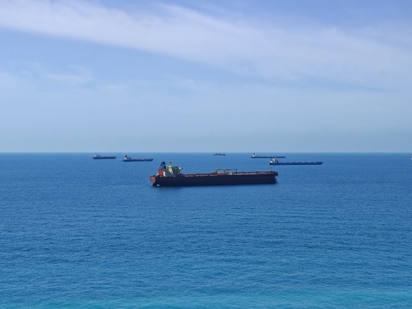    Фото: Юрий Серебренников/BFM Кубань