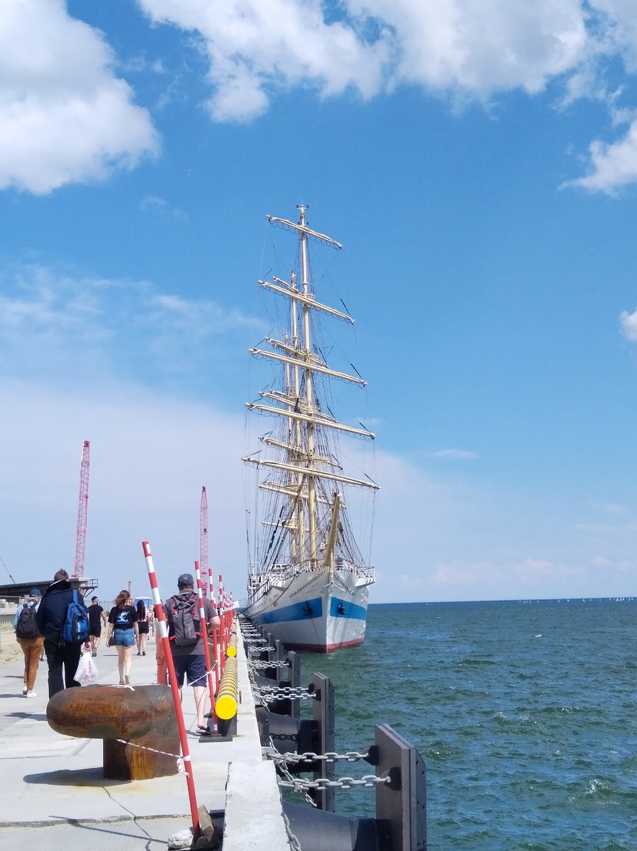 Мир  анфас. Листайте