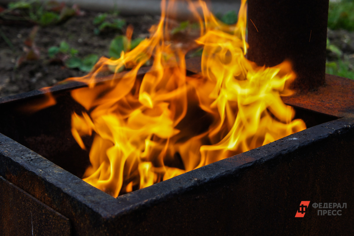 В декабре 2024 года также было уничтожено 300 кг синтетики на сумму 120 млн рублей.  Фото: Фото: ФедералПресс /Елена Майорова