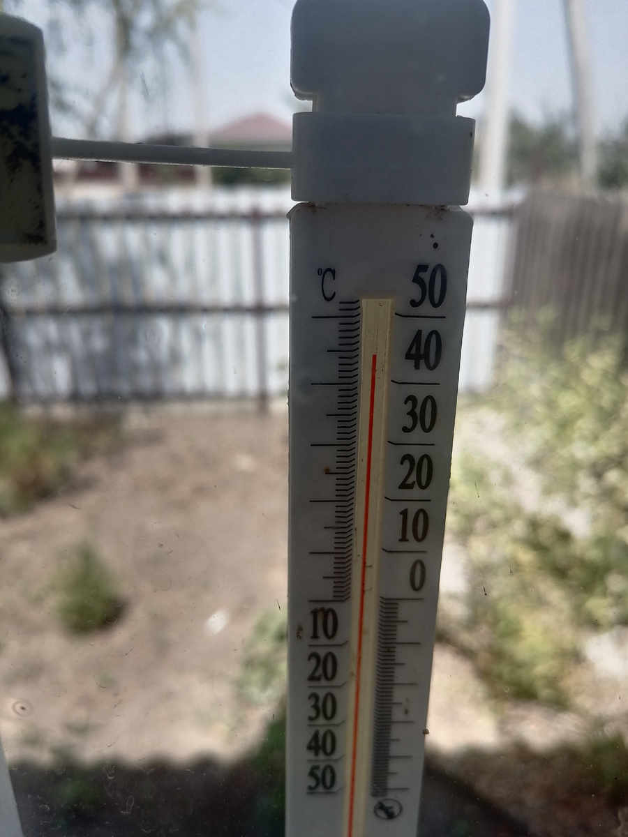 Термометр в тени. 13 июля.