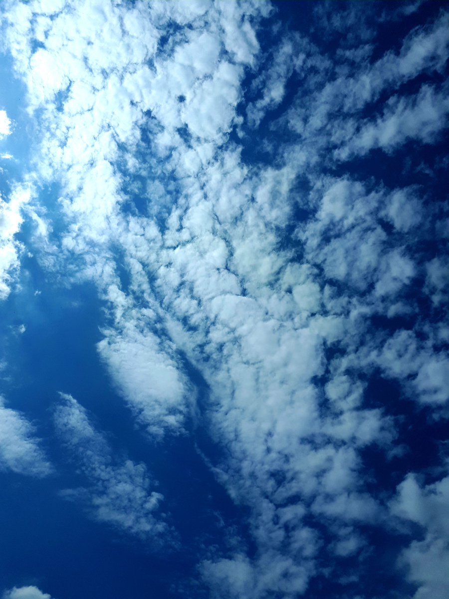 Фото автора 14.07.2025г.