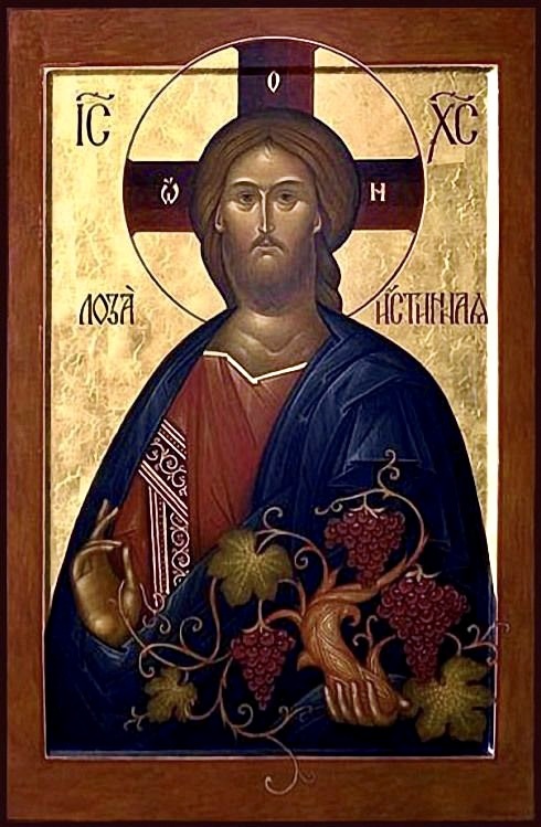 В качестве иллюстрации икона Иисуса Христа "Лоза истинная" (фото из свободного интернета)