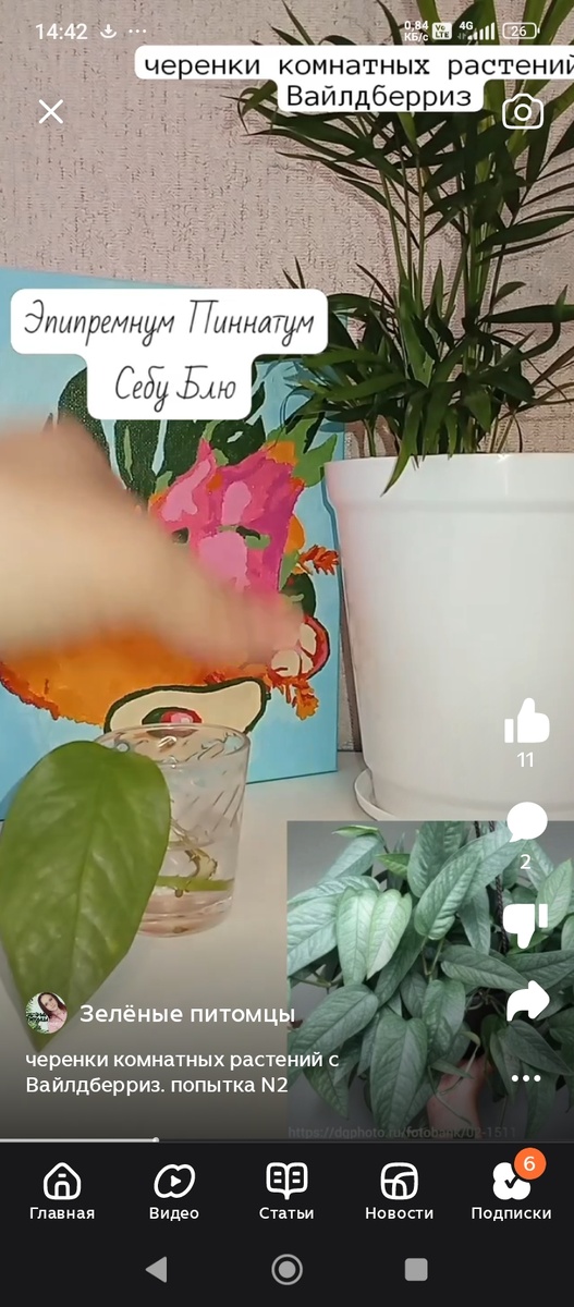 Скрин с видео