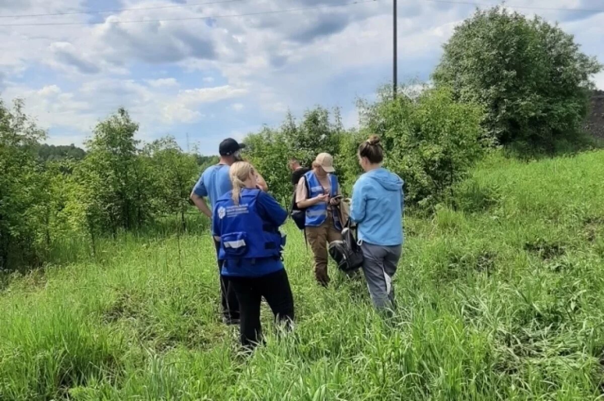    Поиски Алтынай в 2024 году