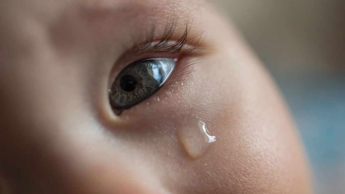    Фото: Konektus Photo / Shutterstock / Fotodom