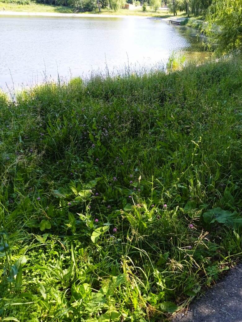 Выбирайте ближайший сквер или парк.