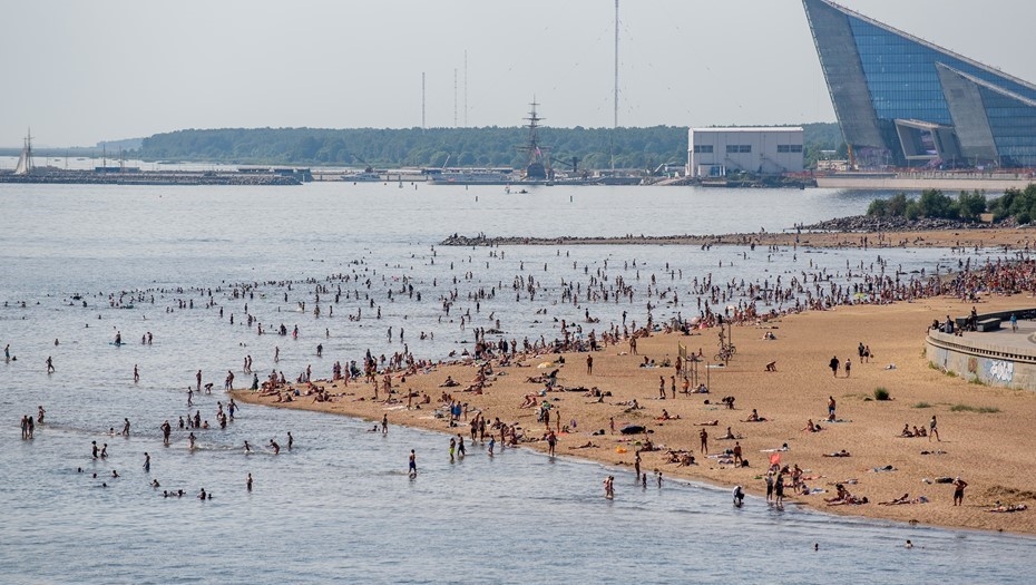    Автор фото: Ермохин Сергей/"ДП"