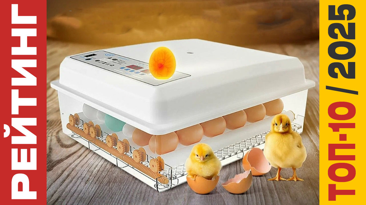 ТОП-10 Инкубаторов 2025 года: Рейтинг лучших моделей