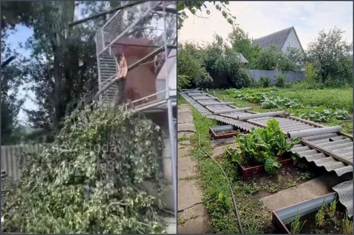    Последствия разгула стихии сняли на видео волгоградцы