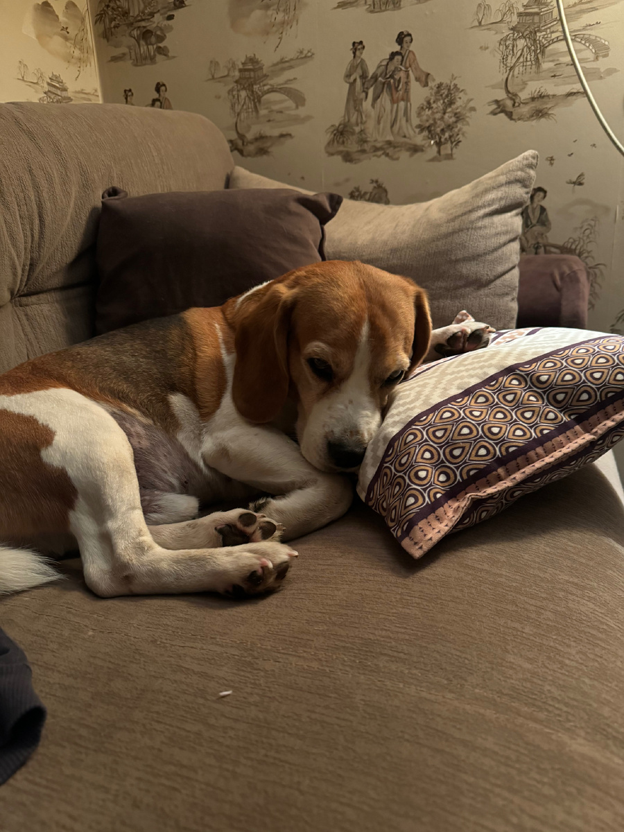 Зовите уже пить таблетки