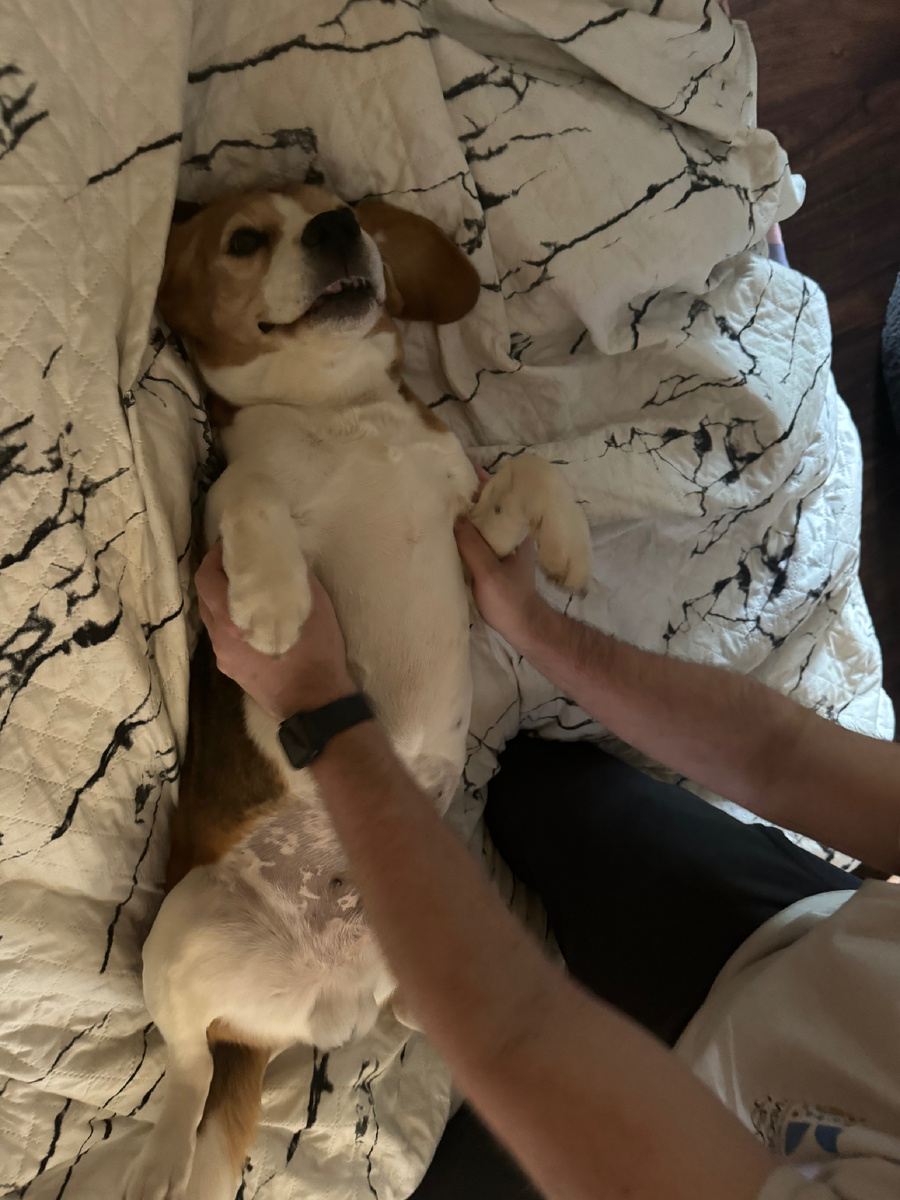 Везите уже меня на дачу