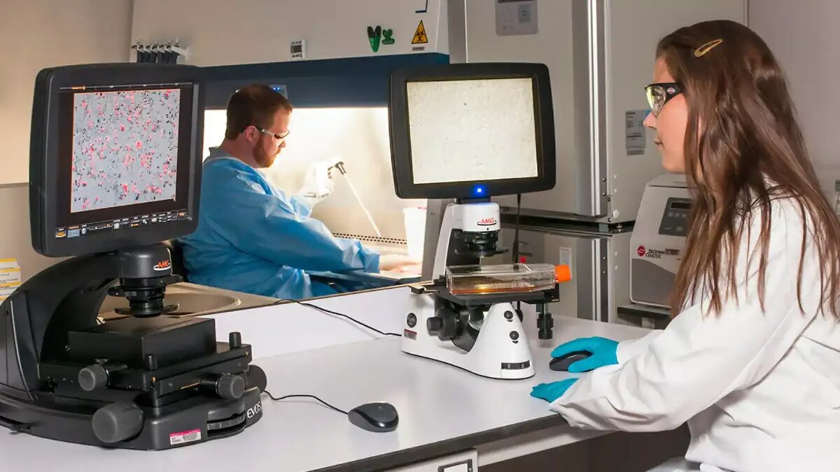    Лаборатория.