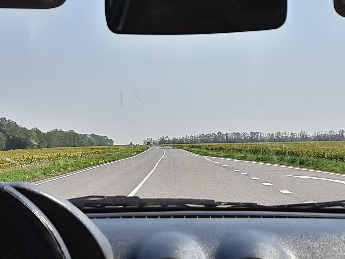 За окнами бескрайние подсолнуховые поля!