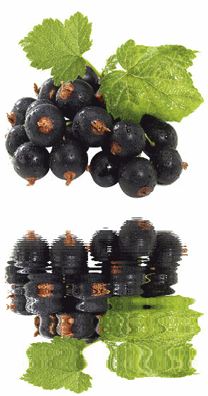 Обожаю варенье из чёрной смородины, и мой очень любил ... )