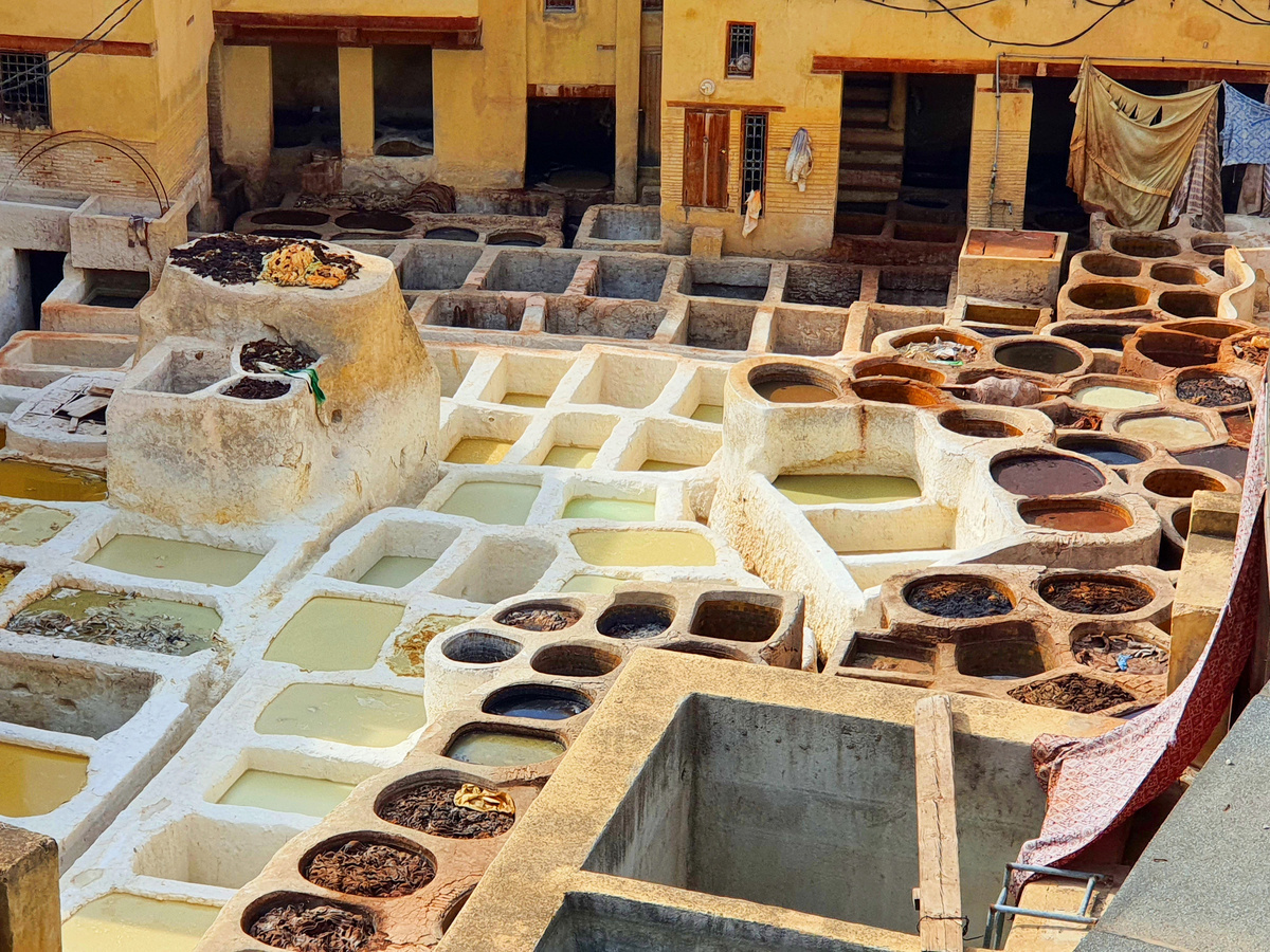 Разнокалиберные соты одной из древнейших красилен (11 в) в Медине Феса