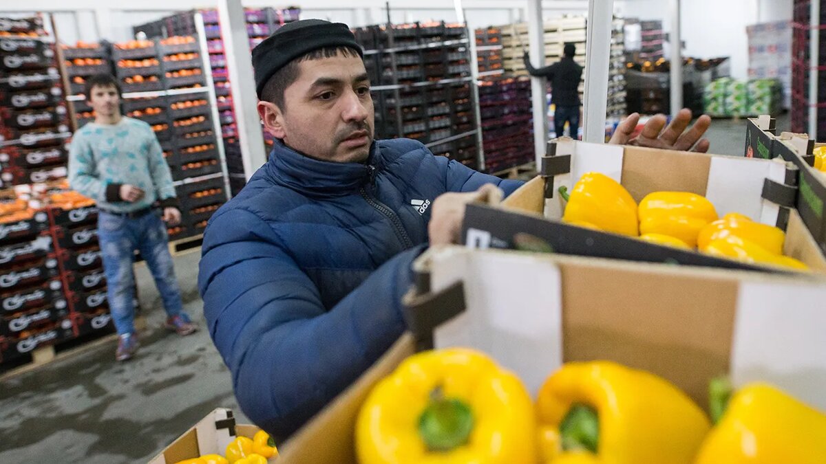   Сергей Бобылев / ТАСС- Архивное фото