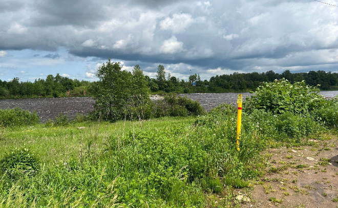    © Пресс-служба администрации Ленинградской области