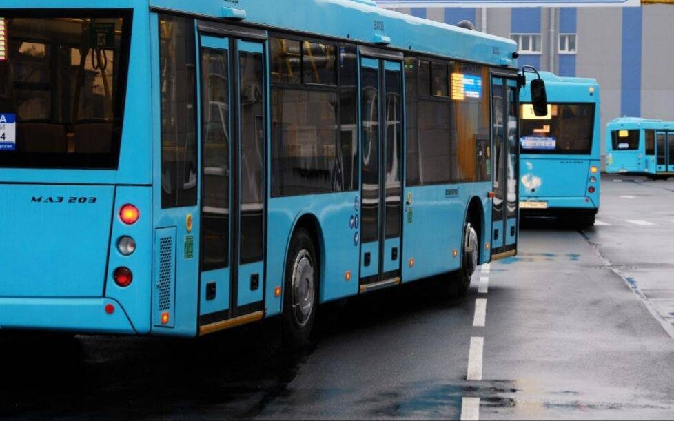 © Комитет по транспорту Петербурга в Telegram