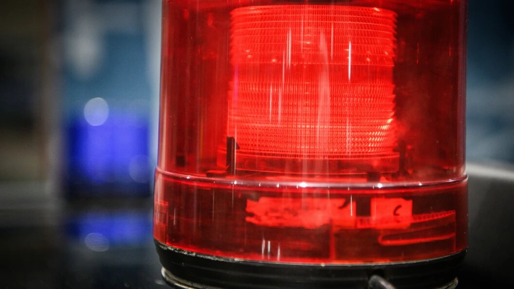    Фото: Ilya Moskovets/URA.RU/Globallookpress