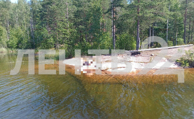    © Аварийно-спасательная служба Ленинградской области