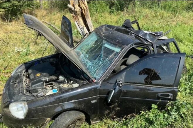    Фото: t.me/gibdd123region