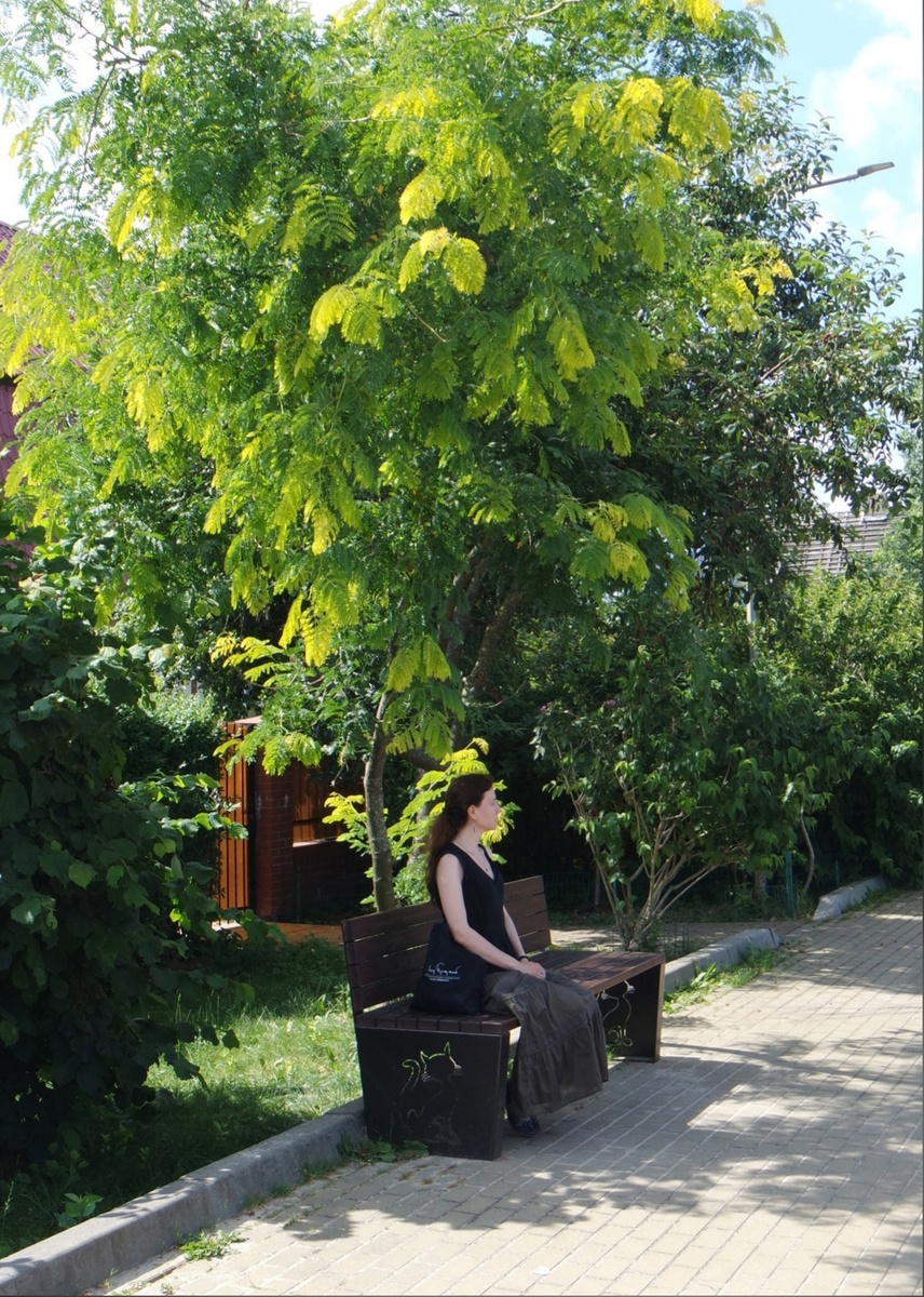 автор канала любуется Балтийским морем на променаде