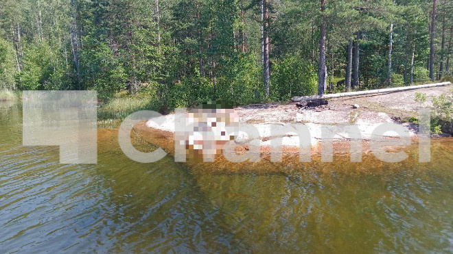 Фото: АССЛО