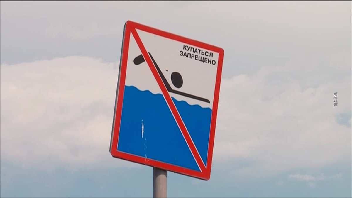 Кадр из программы "Вечерний хэштег"