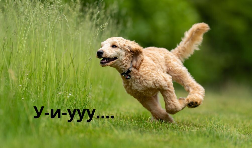 Это Я! Бегу к вам со всех ног, чтобы сообщить правильные ответы за предыдущую неделю.