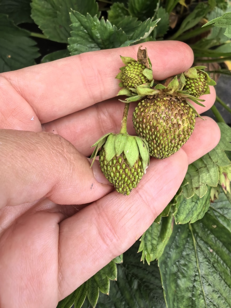 Глаза б мои не глядели на это безобразие