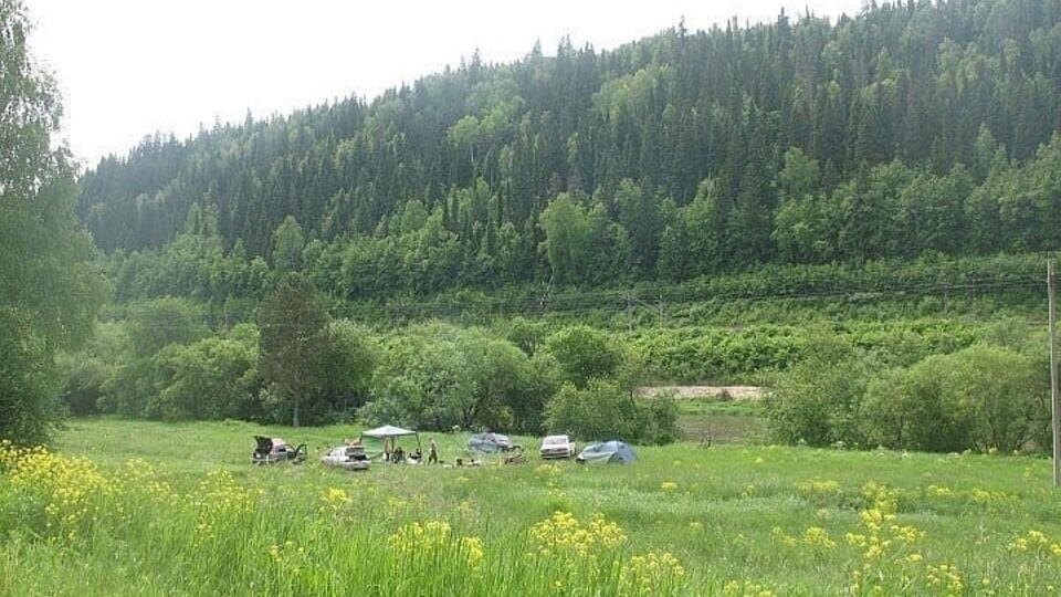 Фото: © vk.com/katya.chetina_sos